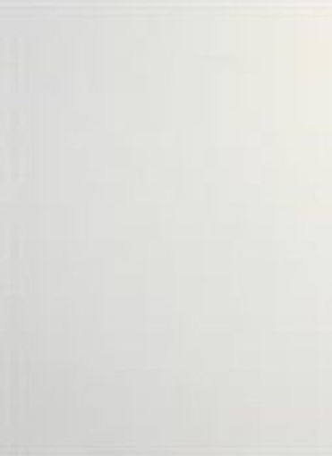 Picture of A2 KARTONCIN METALLIC - FRESH WHITE 310GSM